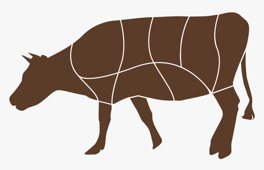 Indian Rhinoceros, HD Png Download