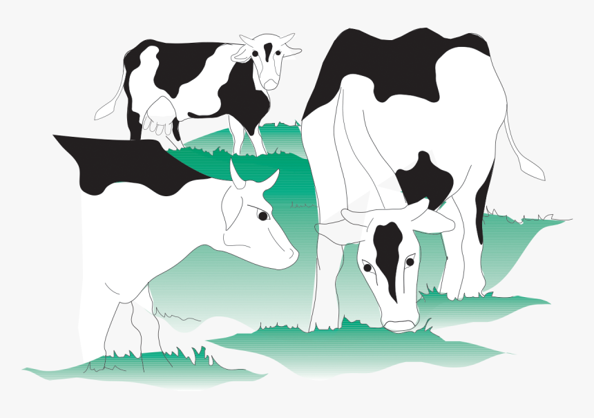Dairy Cow, HD Png Download