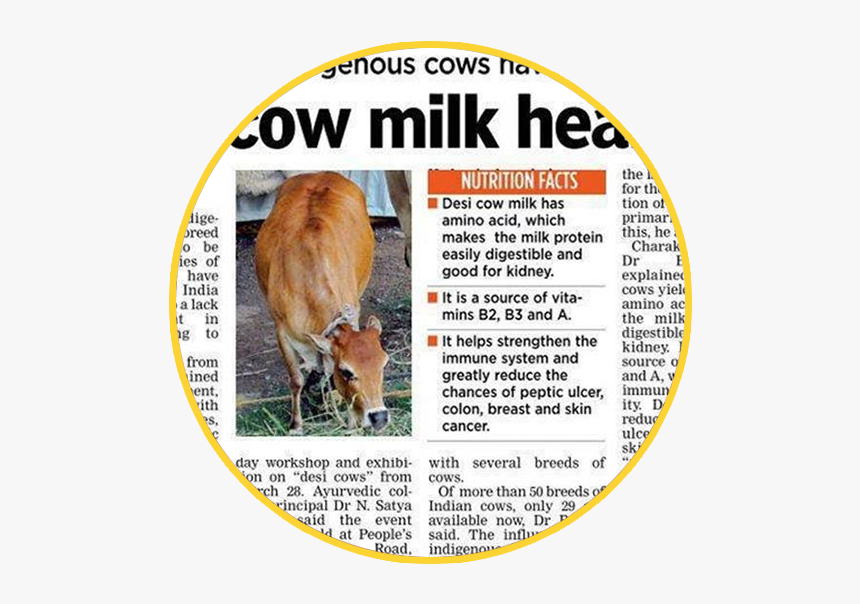 Milk, HD Png Download