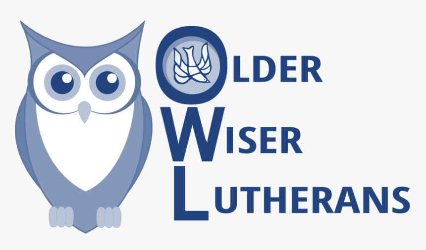 Owl, HD Png Download