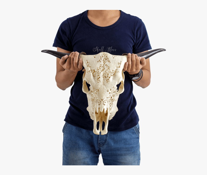 Carved Cow Skull - Horn, HD Png Download