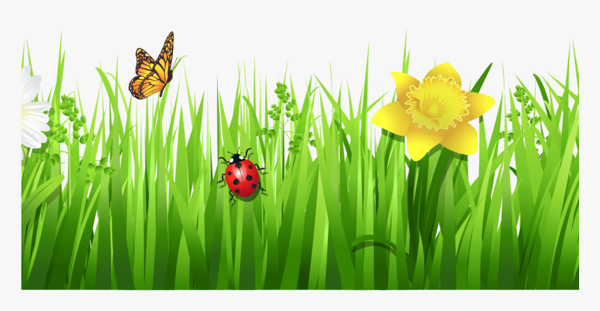 Grass Clip Art - Grass Flower Vector Png, Transparent Png