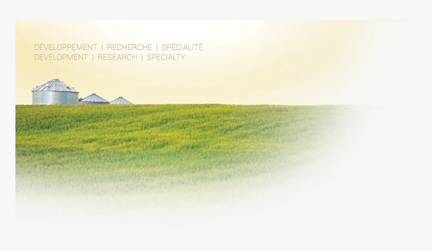 Field, HD Png Download