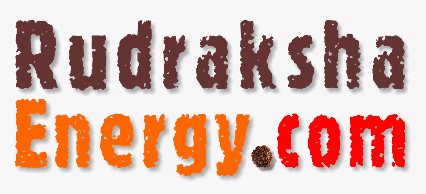 Large Rudraksha Energy - Complicity, HD Png Download