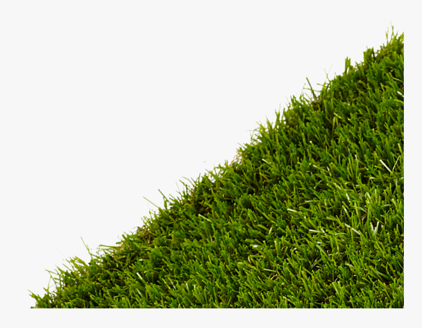 Transparent Grass Png - Lawn, Png Download
