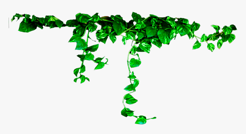 Png For Photoshop - Plants Transparent, Png Download