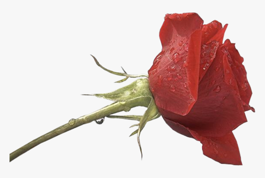 Png Images For Photoshop Hd - Png For Photoshop Hd, Transparent Png