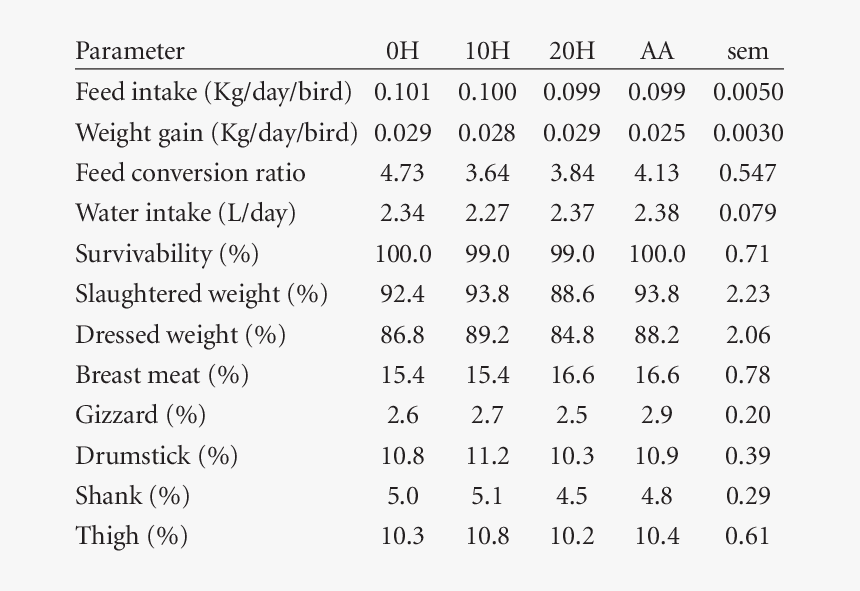 Growth Of Broiler Chicken, HD Png Download