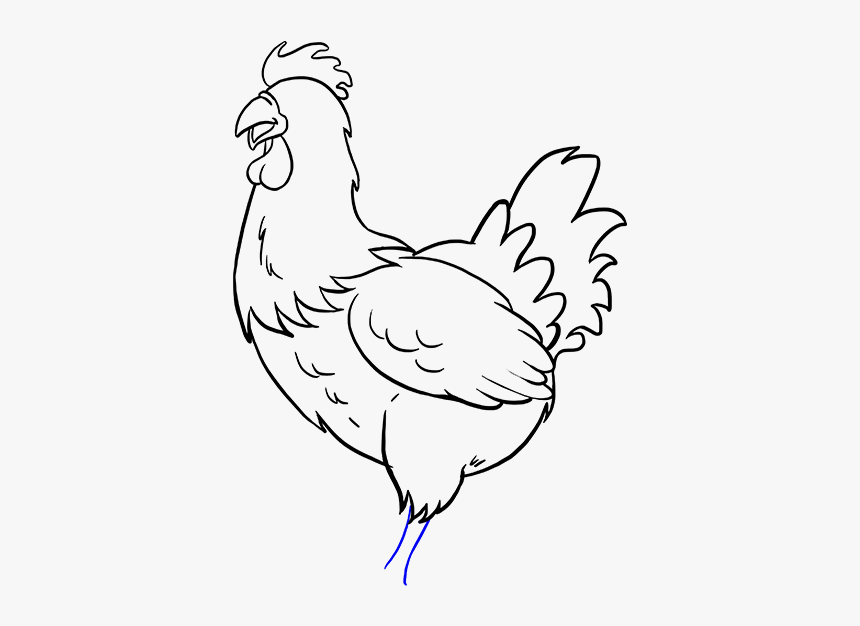 Drawing Polygons Chicken - Chicken Drawing, HD Png Download