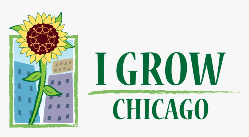 Transparent Chicago - Grow Chicago, HD Png Download