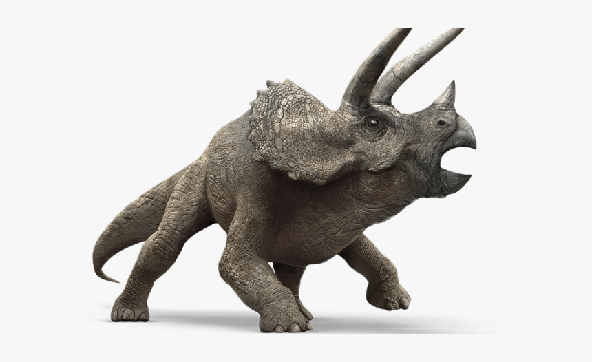 Triceratops Jurassic World, HD Png Download