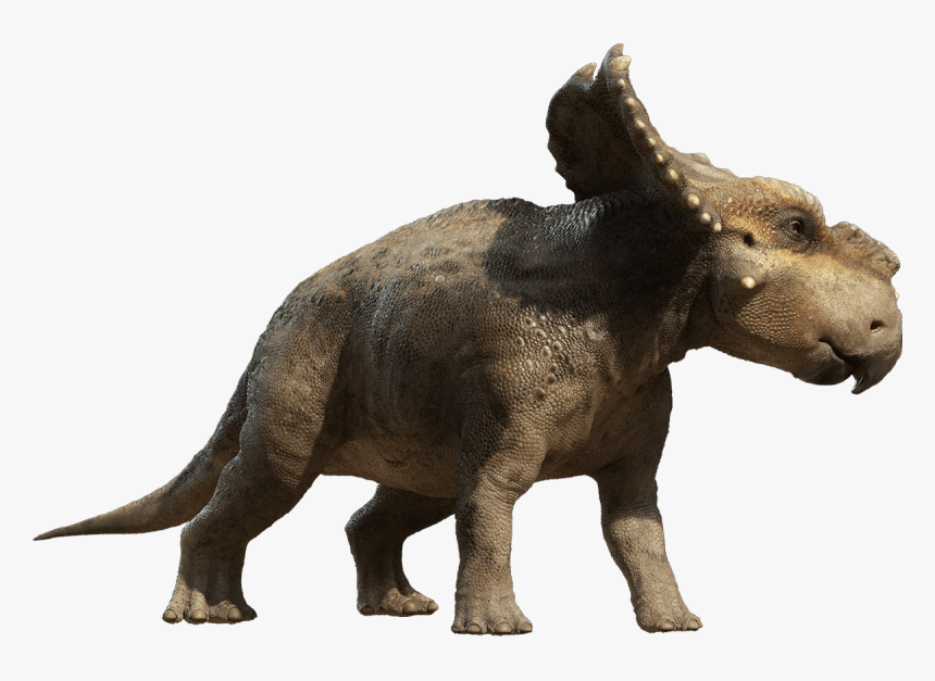 Walking With Dinosaurs [dvd] Pachyrhinosaurus Tyrannosaurus - Durango Wildlands Dinosaurs, HD Png Download