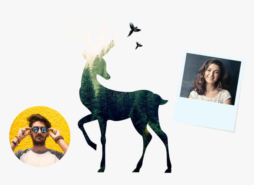 Picmaker Youtube Banner Template - 鹿 剪紙 圖案, HD Png Download