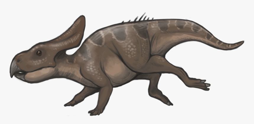 Protoceratops Reconstruction - Protoceratops Facts For Kids, HD Png Download