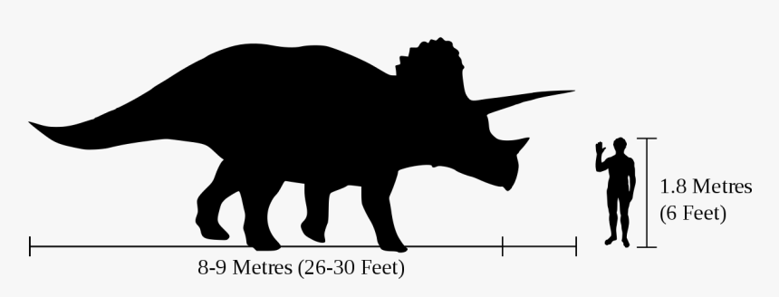 Triceratops Information, HD Png Download
