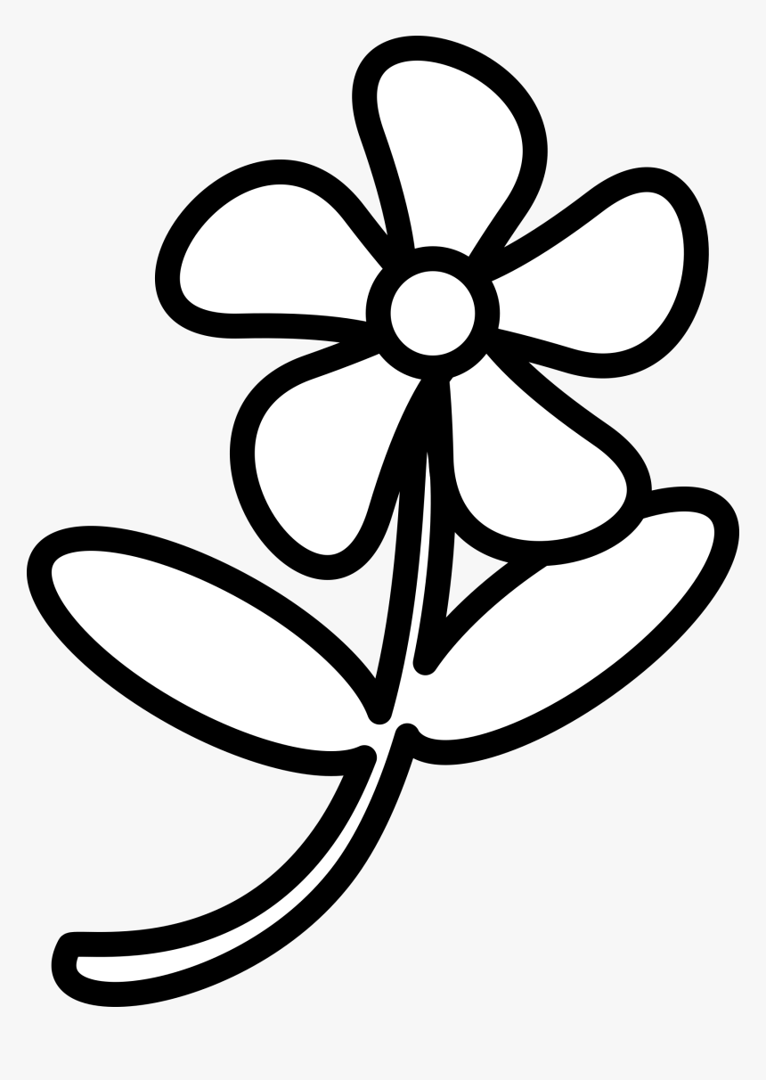 Clipart - Outline Image Of A Flower, HD Png Download