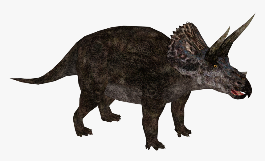 Triceratop Png Free Download - Triceratops Png, Transparent Png