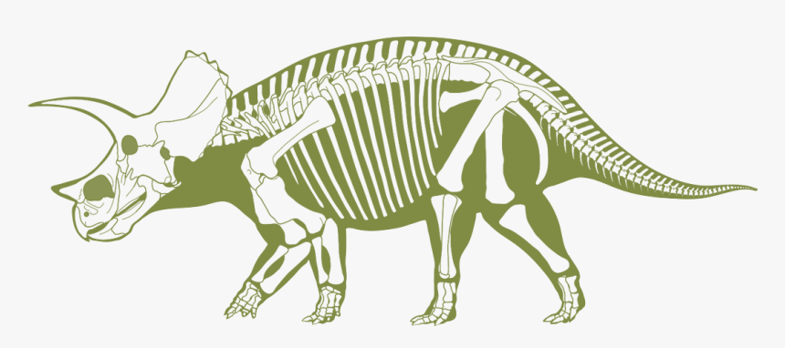 Skeliton Clipart Triceratops - Transparent Dino Fossil Clip Art, HD Png Download