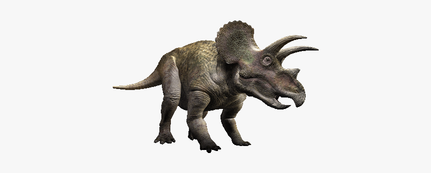 Triceratops Png, Transparent Png
