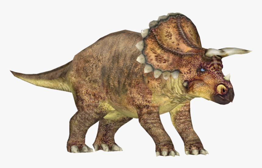 Triceratops, HD Png Download
