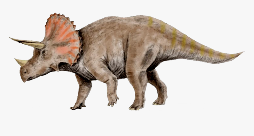 Clipart Skeleton Triceratops - Clipart Triceratops, HD Png Download