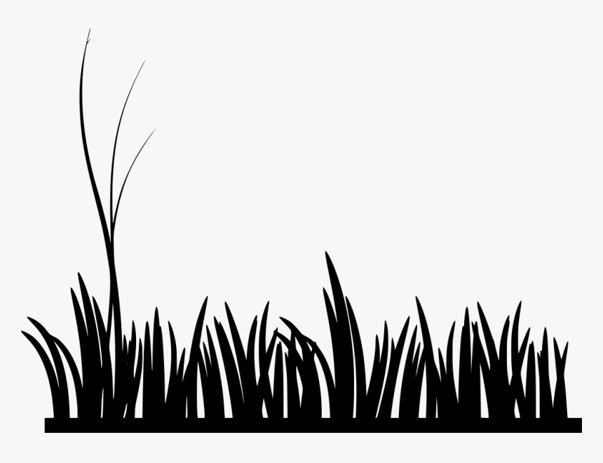 Grass Clip Art - Grass Black And White, HD Png Download , Transparent
