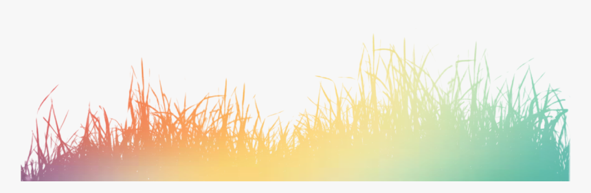 Color Grass Silhouette Png Download - Grass, Transparent Png
