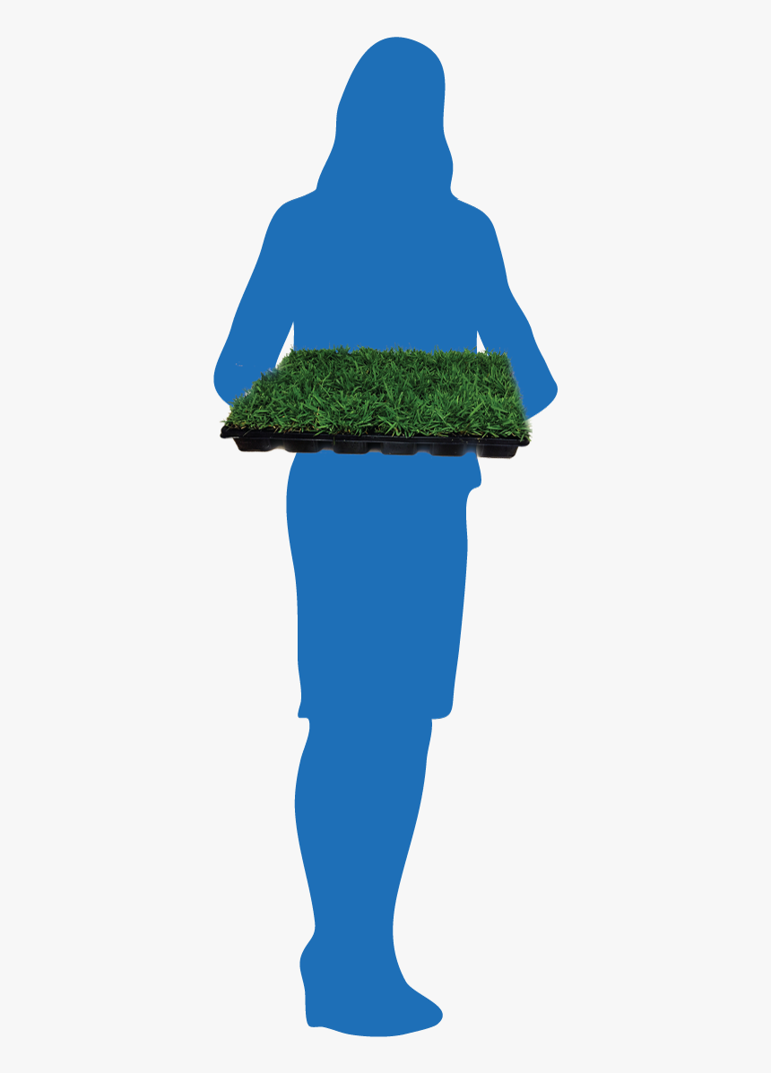 Silhouette - Grass, HD Png Download