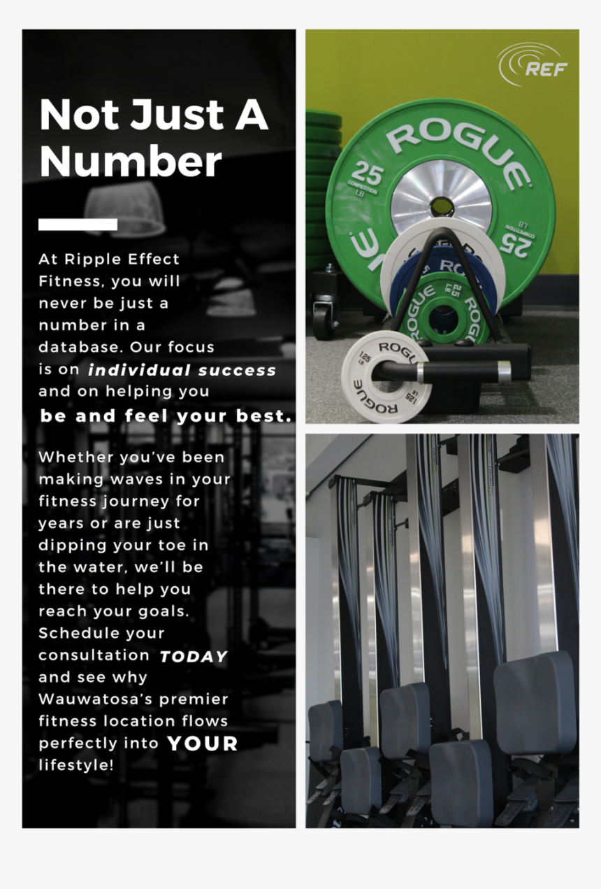 Not Just A Number - Flyer, HD Png Download