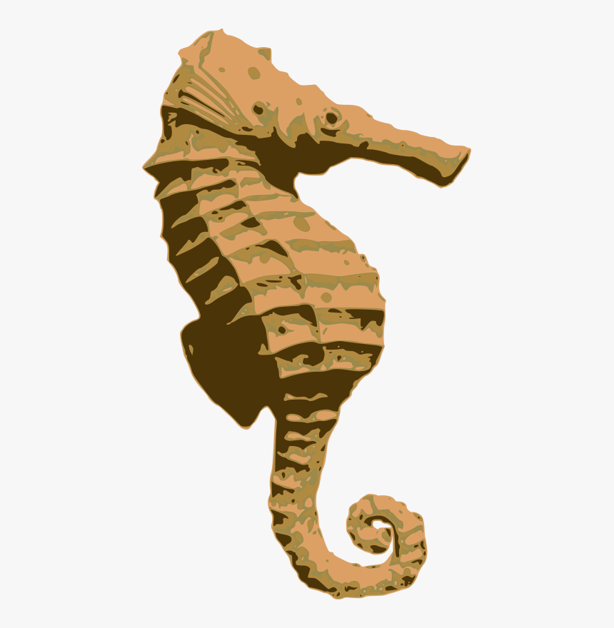 Orange Seahorse - Northern Seahorse, HD Png Download