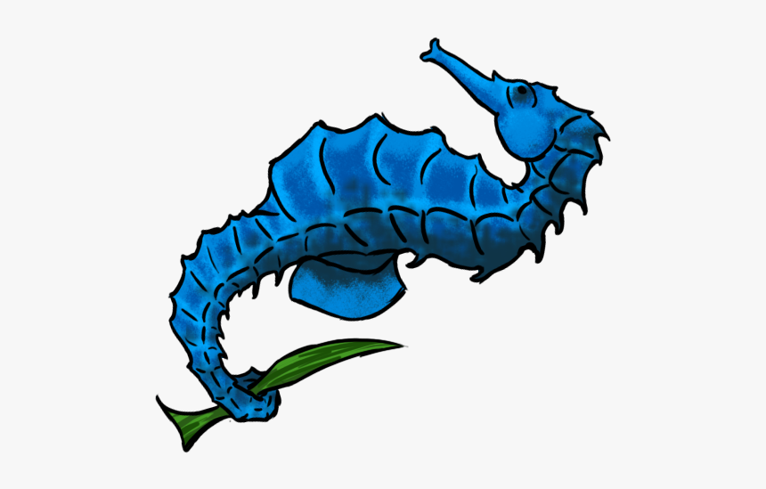 Browse And Download Seahorse Png Pictures, Transparent Png