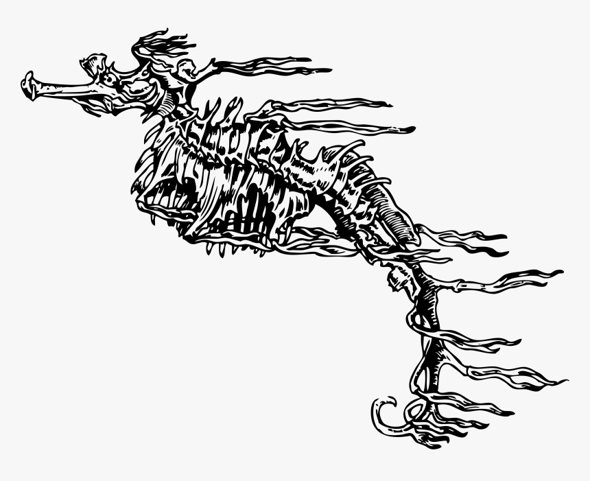 Fucus-like Seahorse Clip Arts - Skeleton Seahorse, HD Png Download