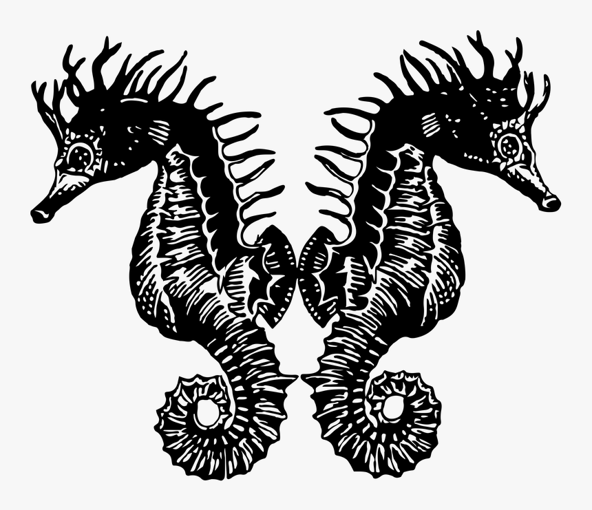 Seahorse, Animal, Vintage, Drawing, Decoration, Fish - Illustration, HD Png Download