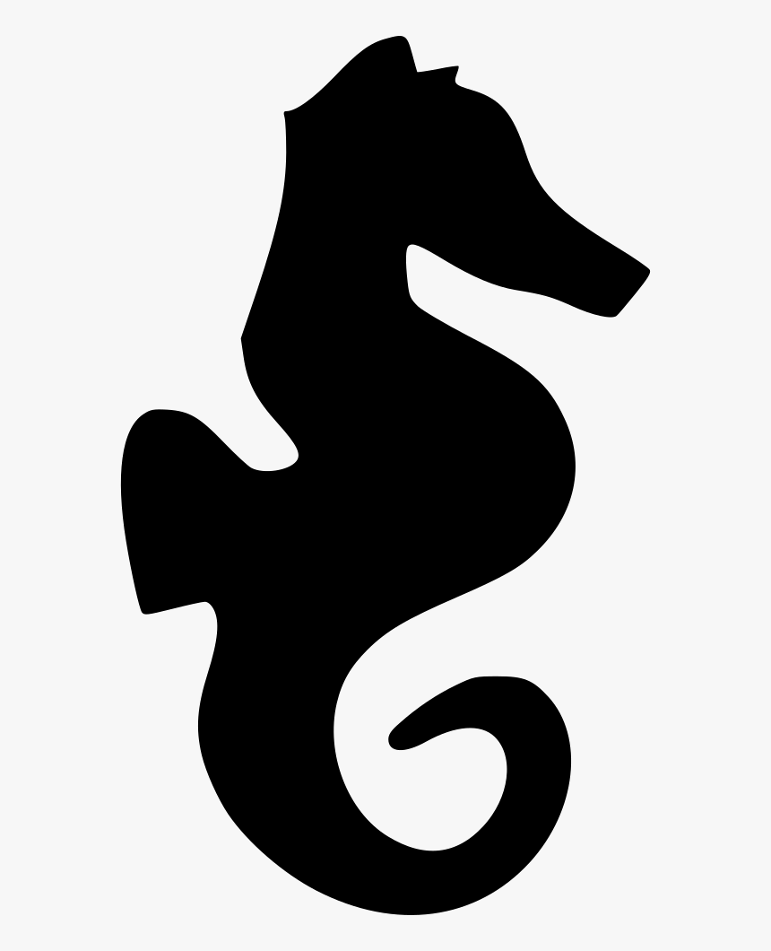 Seahorse - Northern Seahorse, HD Png Download