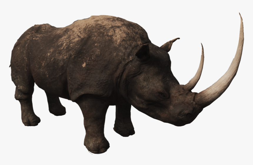 Rhino Png Photos - Rhinoceros, Transparent Png