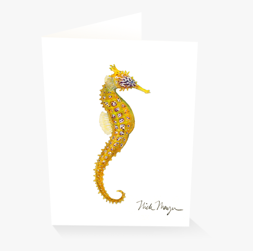 Pacific Seahorse I - Northern Seahorse, HD Png Download