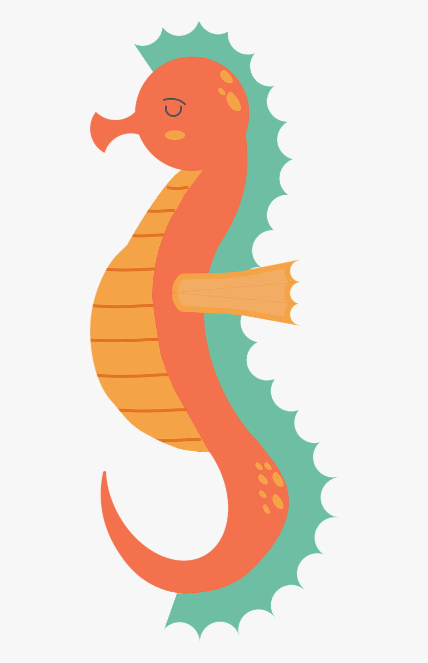 Seahorse, Sealife, Fish, Underwater, Reef, Tropical - Illustration, HD Png Download