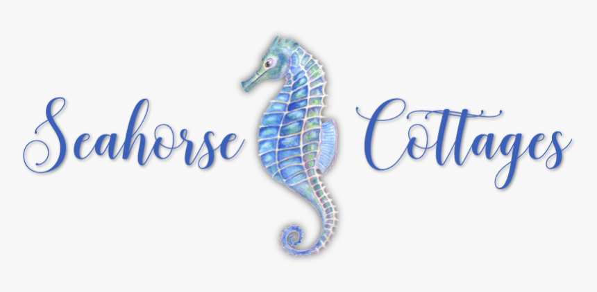 Northern Seahorse, HD Png Download