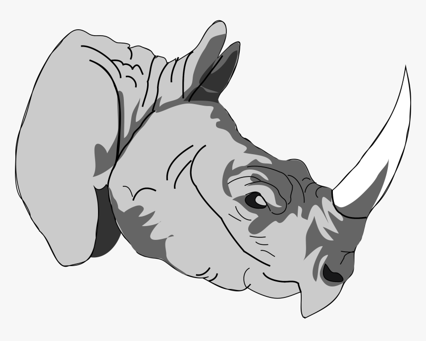 Architetto Rhinoceros 1 Clip Arts - One Horned Rhino Art, HD Png Download