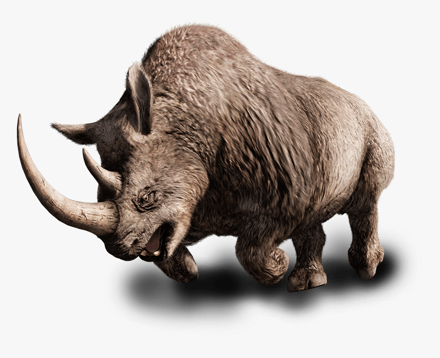 Far Cry Wiki - Wooly Rhino Far Cry, HD Png Download