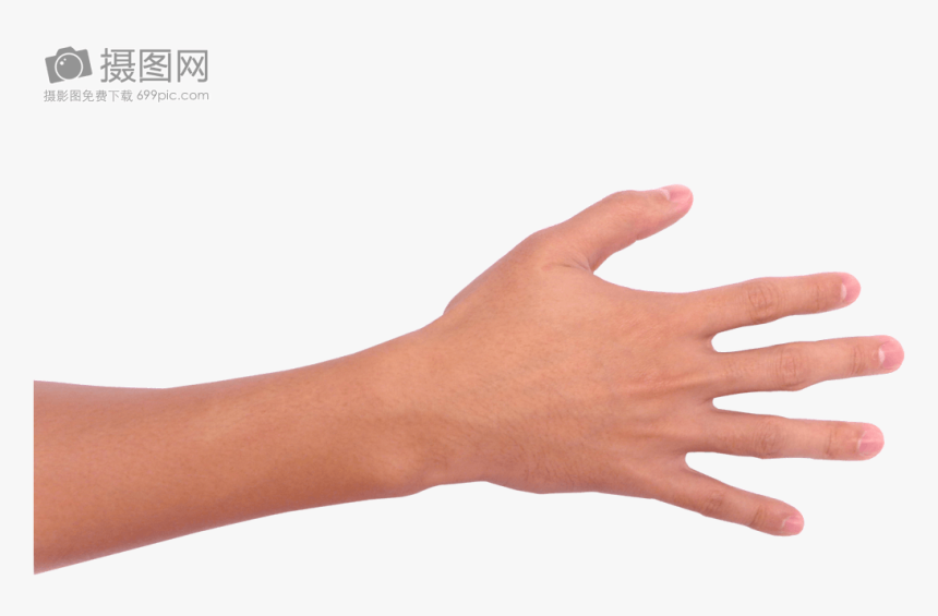 Sign Language, HD Png Download