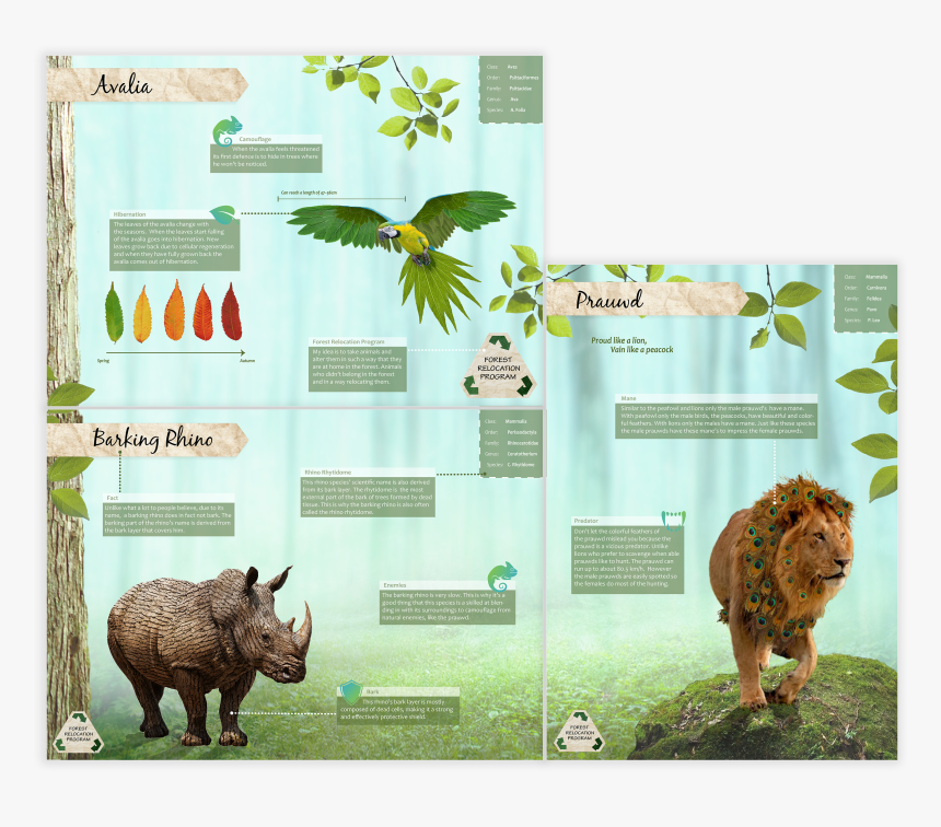 Indian Rhinoceros , Png Download - Indian Rhinoceros, Transparent Png
