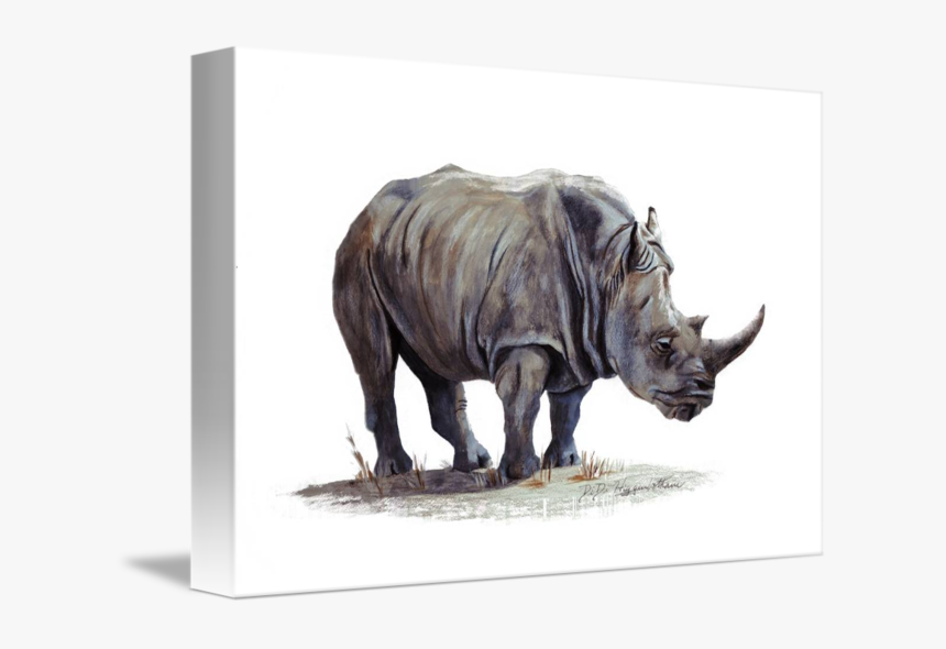 Transparent Rhinoceros Png - Painting, Png Download