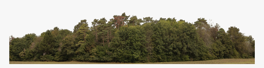 Transparent Tree Line Png, Png Download , Transparent Png Image - PNGitem
