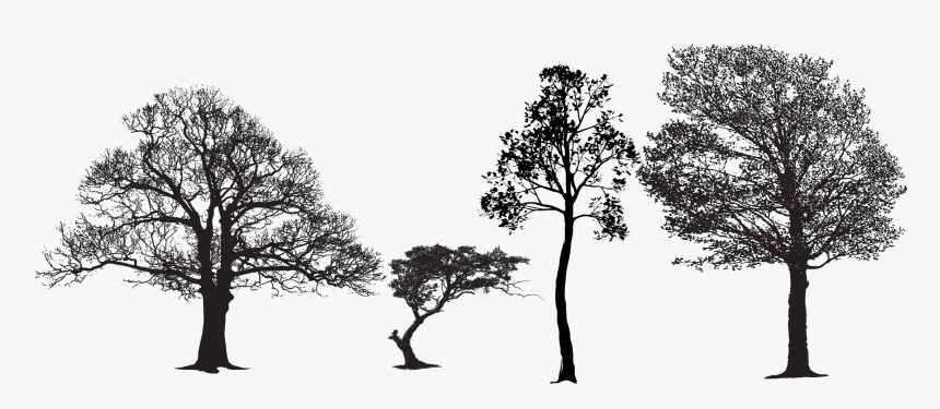 Tree Euclidean Vector Silhouette Vector Packs - Tree Eps File, HD Png Download