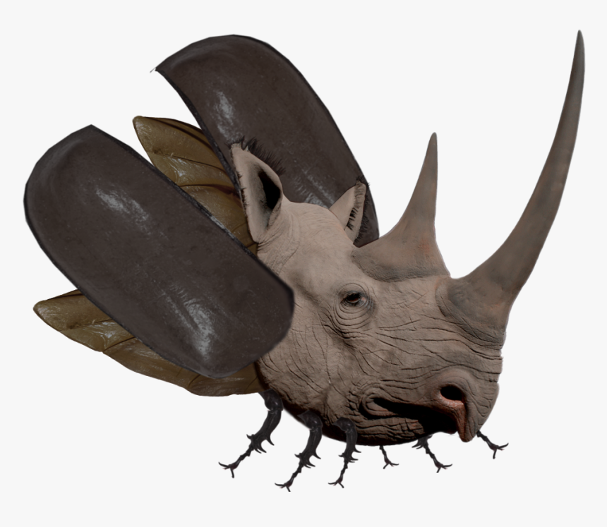 Rhinoceros Beetles Png, Transparent Png
