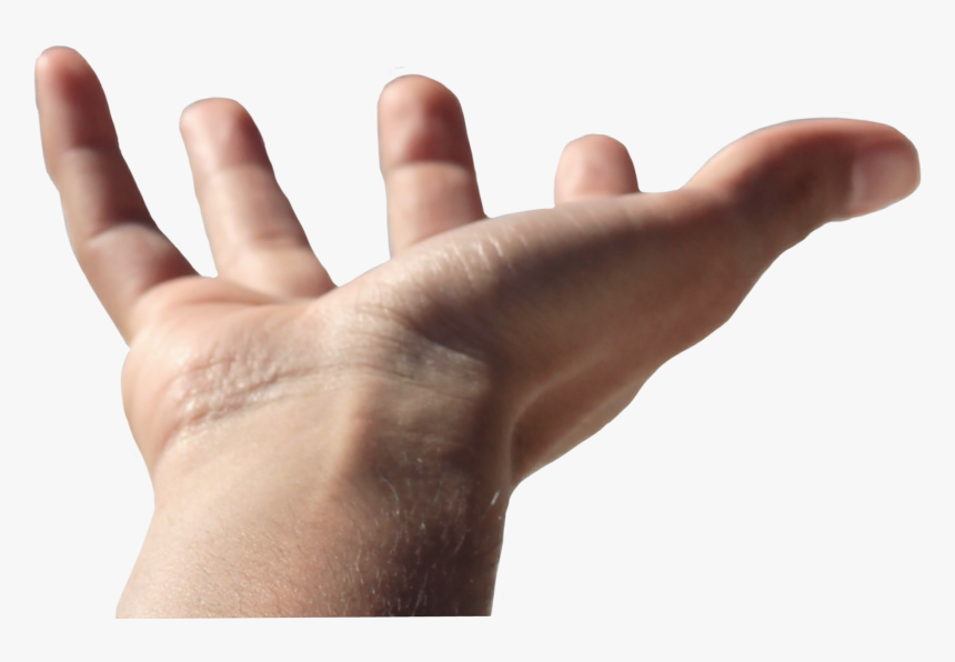schand hand open openhand Human, HD Png Download , Transparent