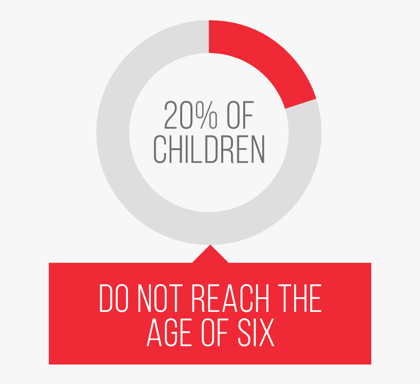 20% Of Children Do Not Reach The Age Of Six , Png Download - Circle, Transparent Png