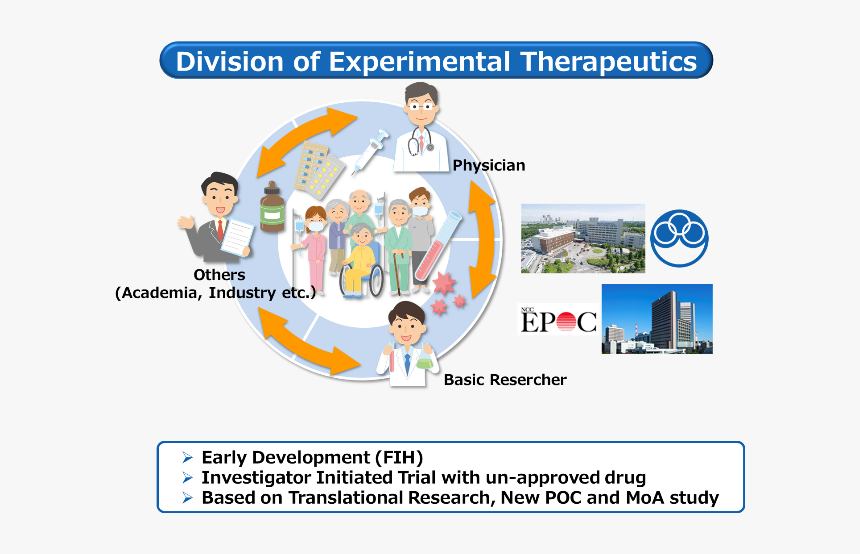 Division Of Experimental Therapeutics - Poster, HD Png Download