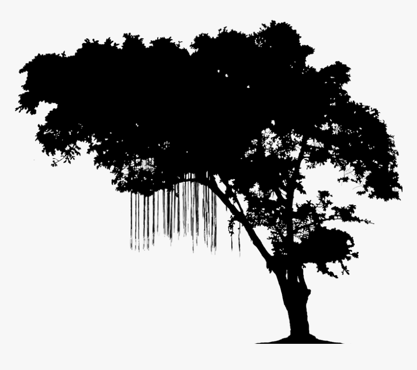 Fictionality Image Hashtag Narrative Book - Silhouette Reading In Tree, HD Png Download